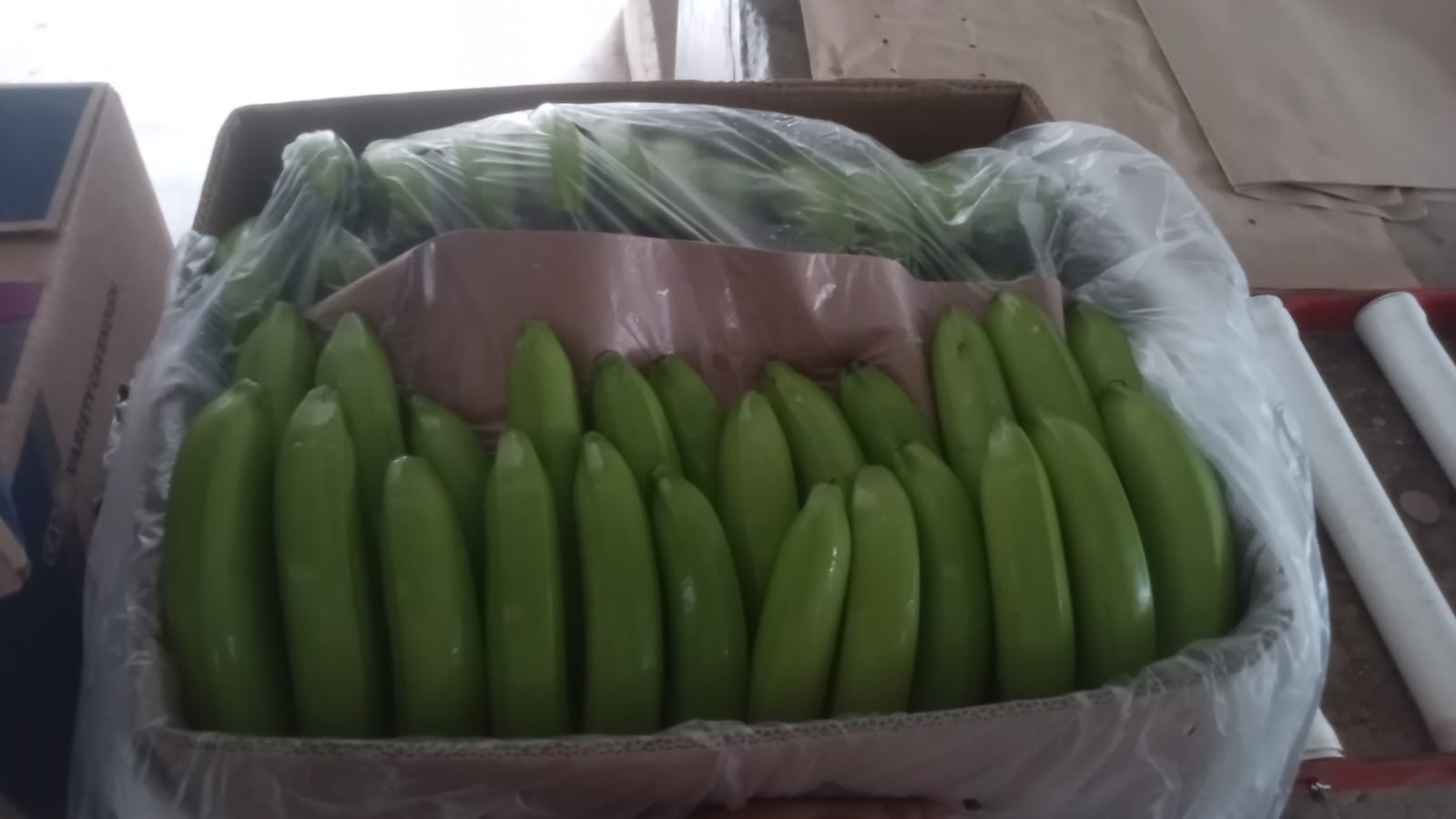 Embalaje del producto