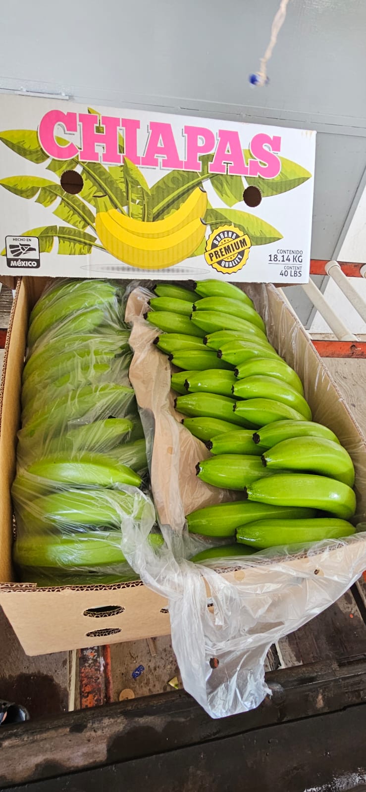 Empaque de banano Colocha Banana